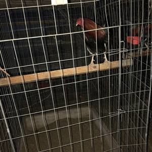 Meet your Posher, Jonathan